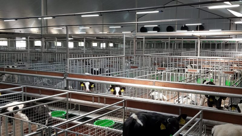 上海直播带货代运营失败案例分析：揭秘背后的原因